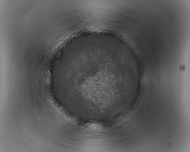 X0000113550689200910021531