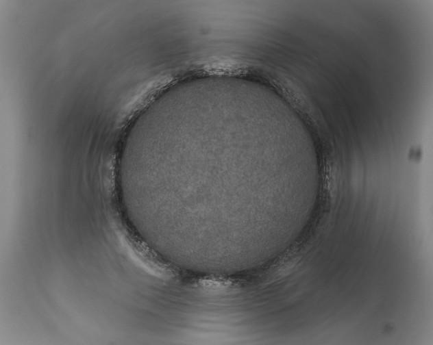 X0000113550690200910021531