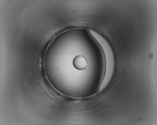 X0000113550692200910021531