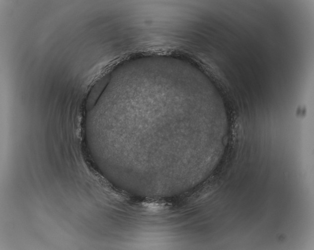 X0000113550693200910021530