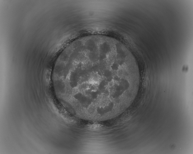 X0000113550695200910021530