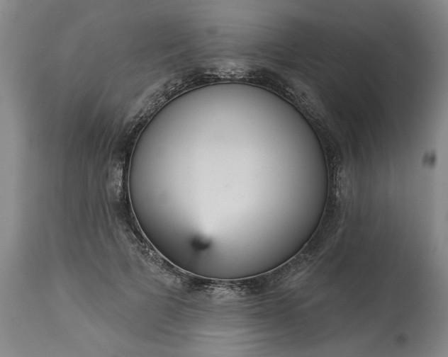 X0000113550697200910021530