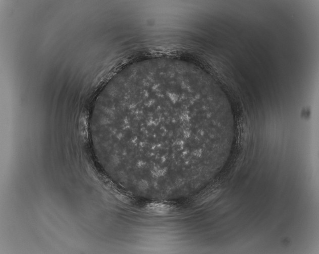 X0000113550699200910021530