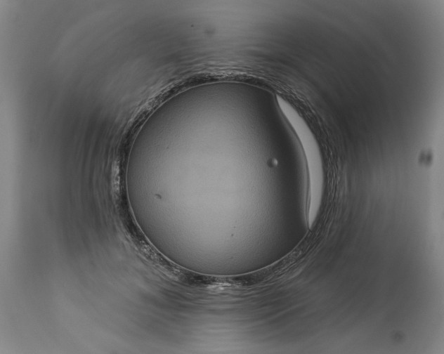 X0000113550700200910021530