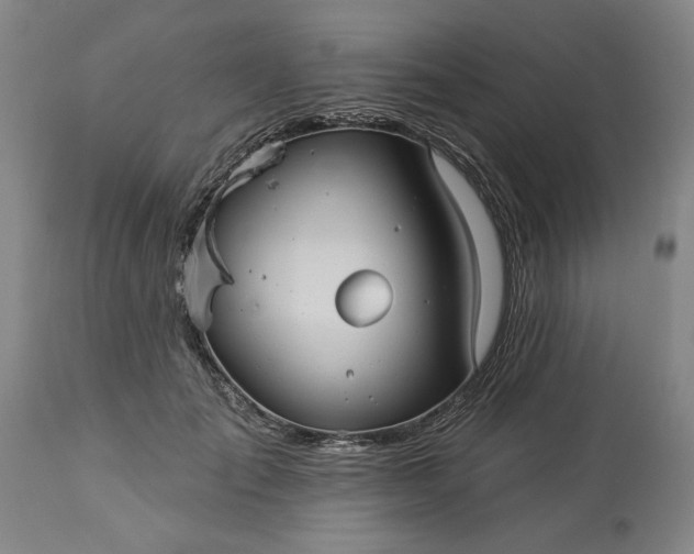 X0000113550701200910021530