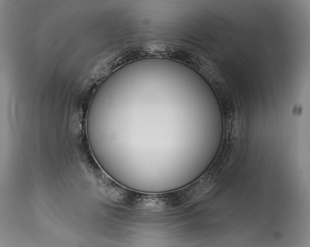 X0000113550702200910021530