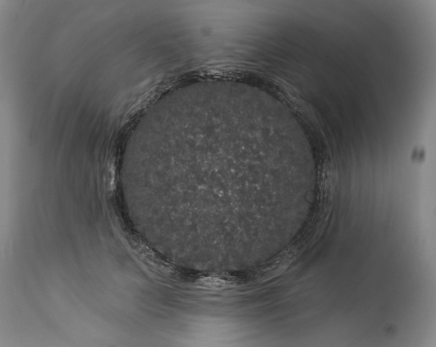 X0000113550703200910021530