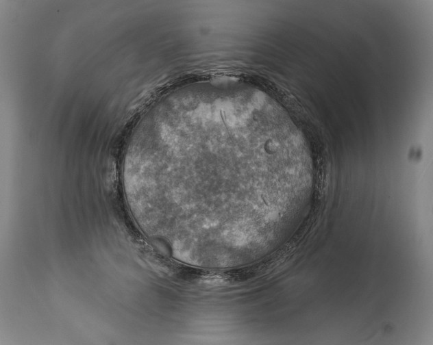 X0000113550704200910021530