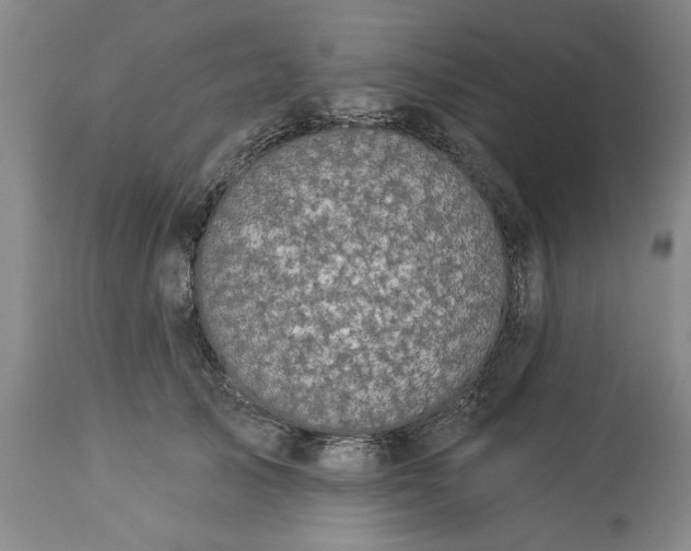 X0000113550705200910021530