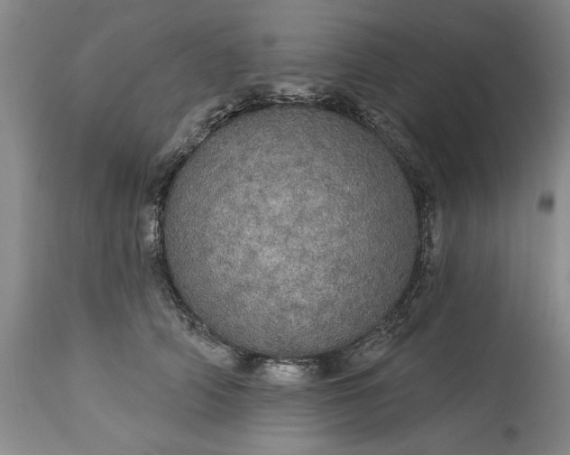 X0000113550706200910021530