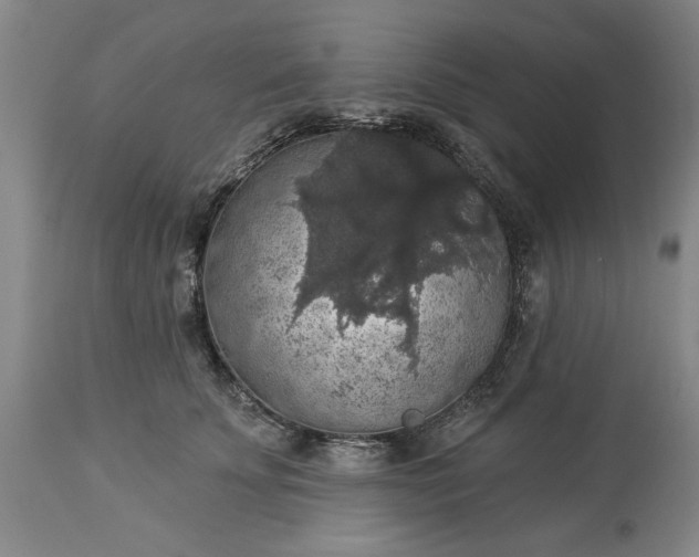 X0000113550707200910021530