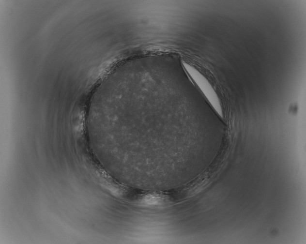 X0000113550708200910021530