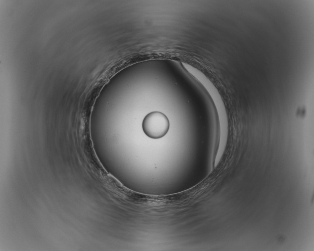 X0000113550709200910021530