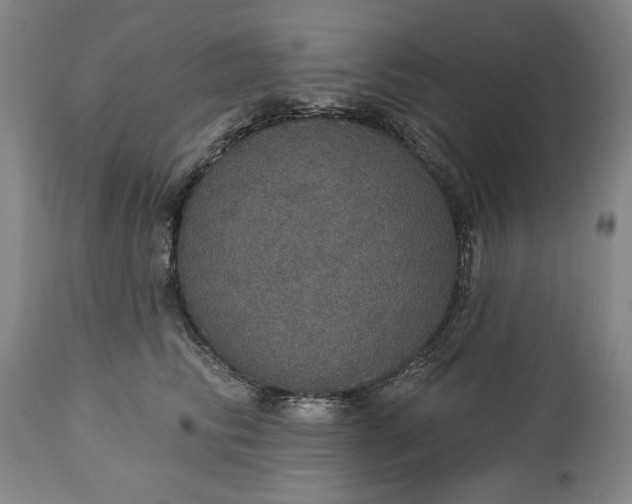 X0000113550710200910021530