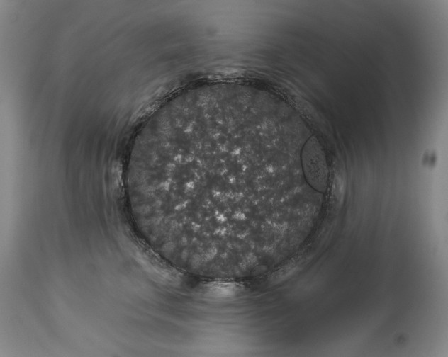 X0000113550711200910021530