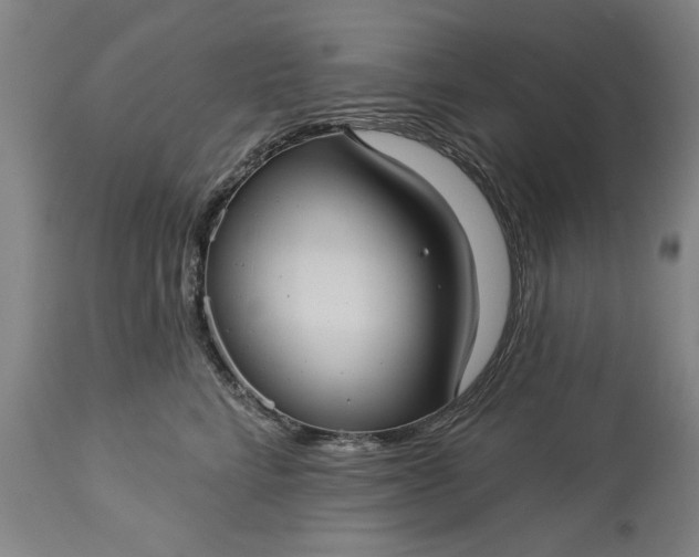 X0000113550712200910021530