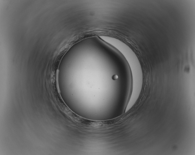 X0000113550713200910021530