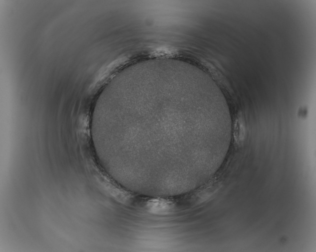 X0000113550714200910021530