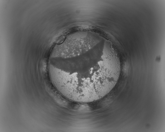 X0000113550715200910021530