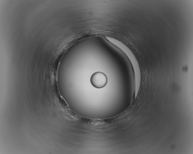 X0000113550716200910021530