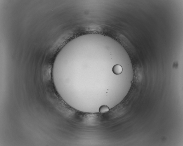 X0000113550717200910021530