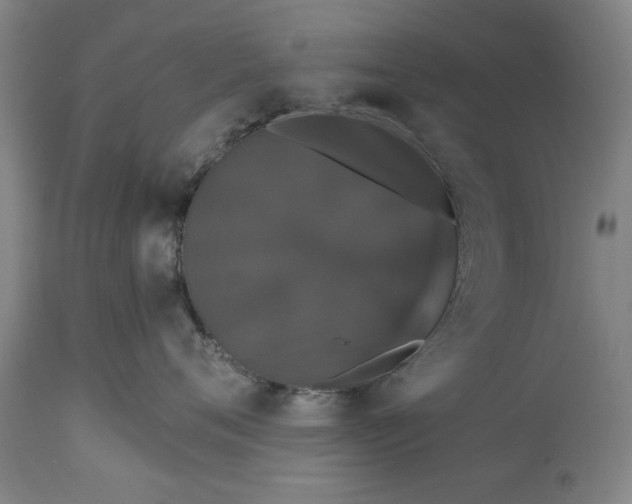 X0000113550720200910021530