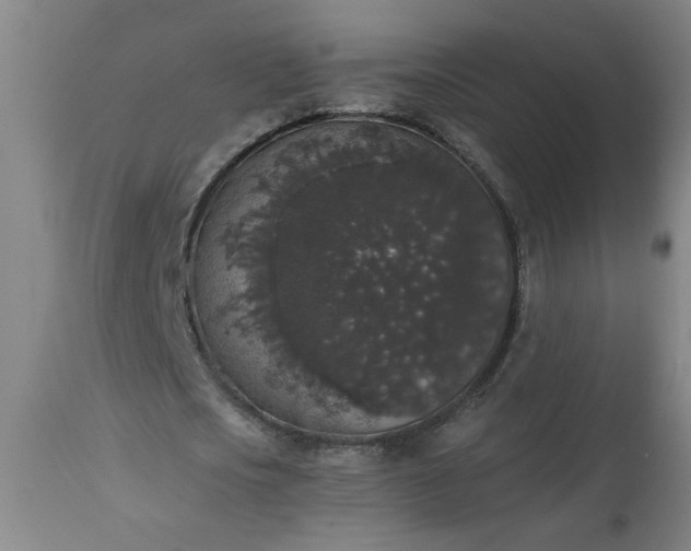 X0000113550721200910021529