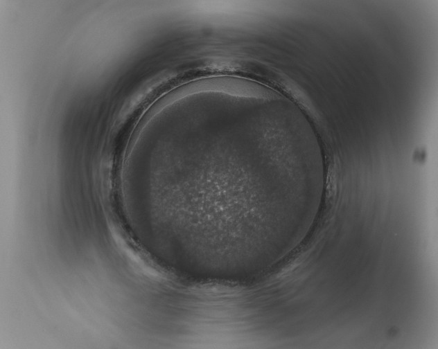 X0000113550722200910021529