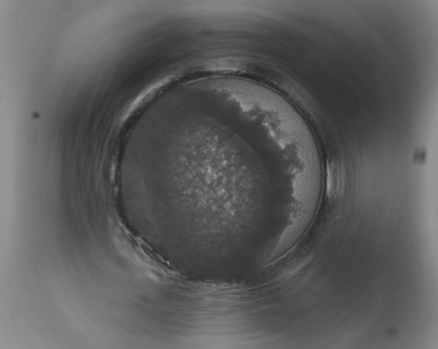 X0000113550723200910021529