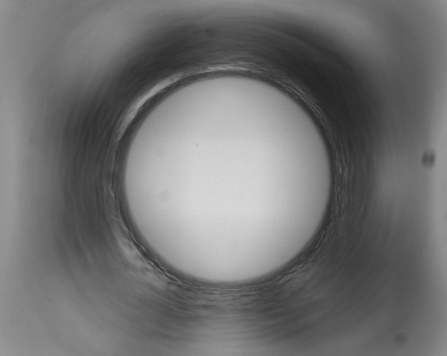 X0000113550724200910021529