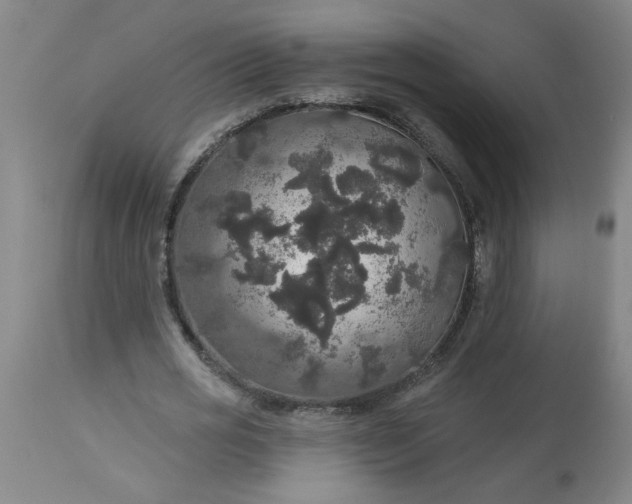 X0000113550725200910021529