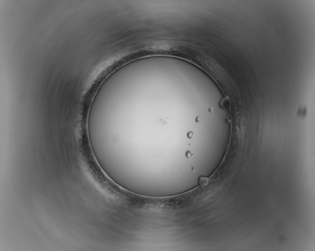 X0000113550728200910021529