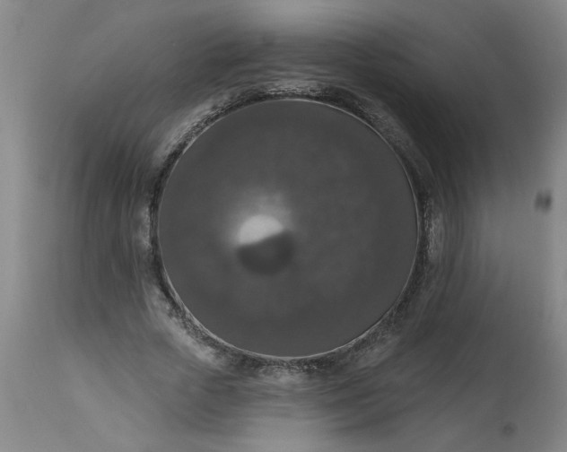 X0000113550729200910021529