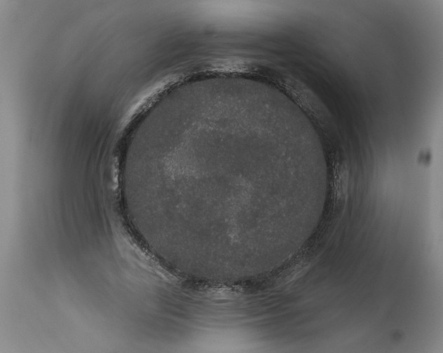 X0000113550731200910021529