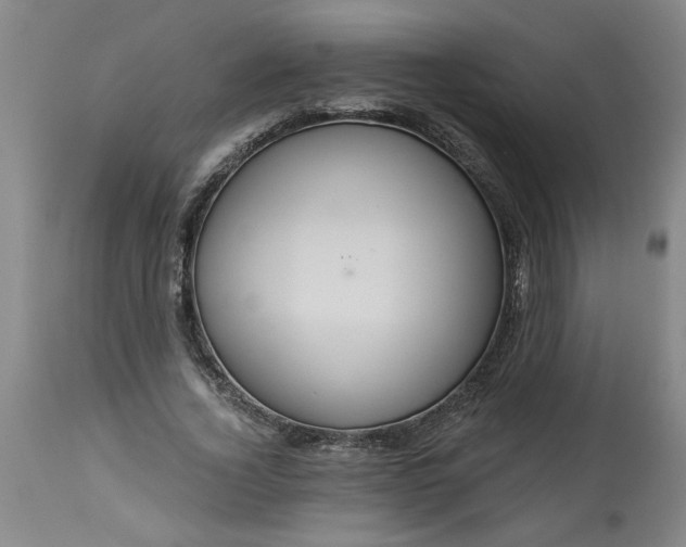 X0000113550732200910021529