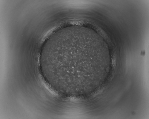 X0000113550733200910021529