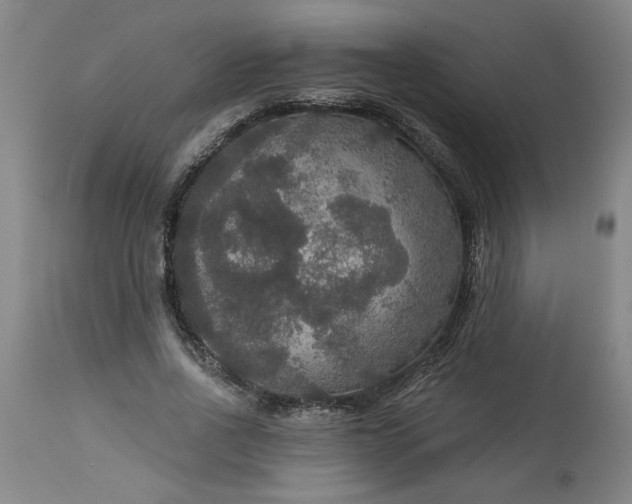 X0000113550734200910021529