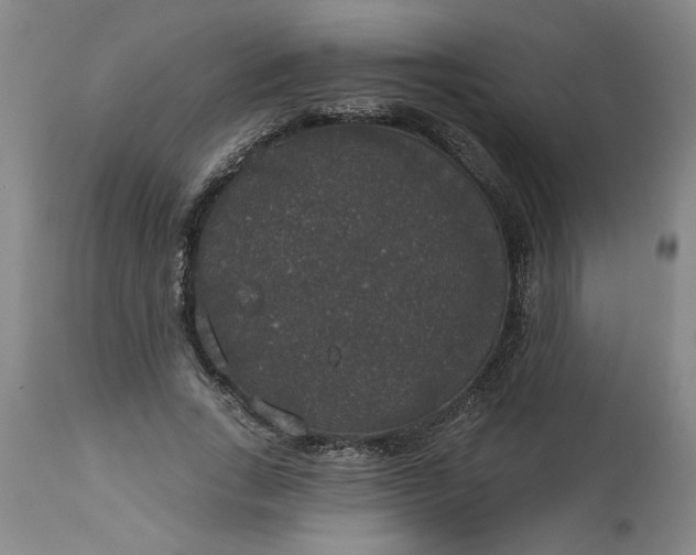 X0000113550735200910021529