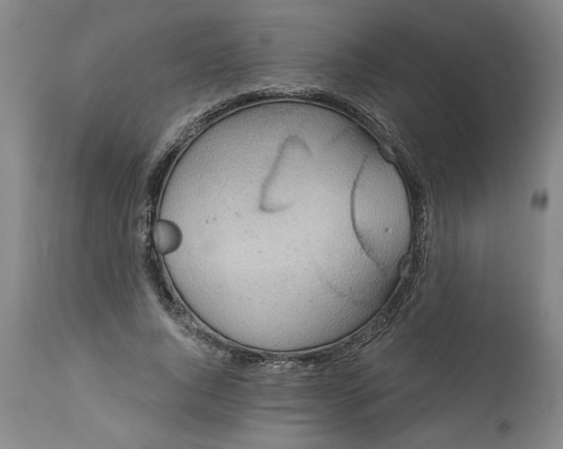 X0000113550736200910021529