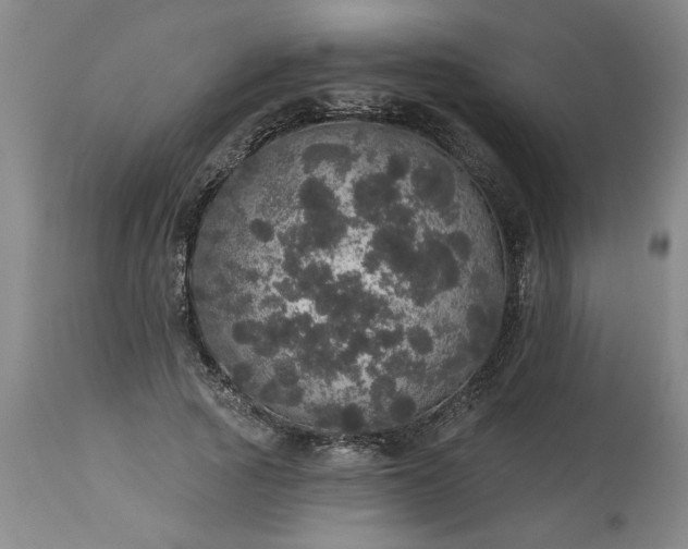 X0000113550737200910021530