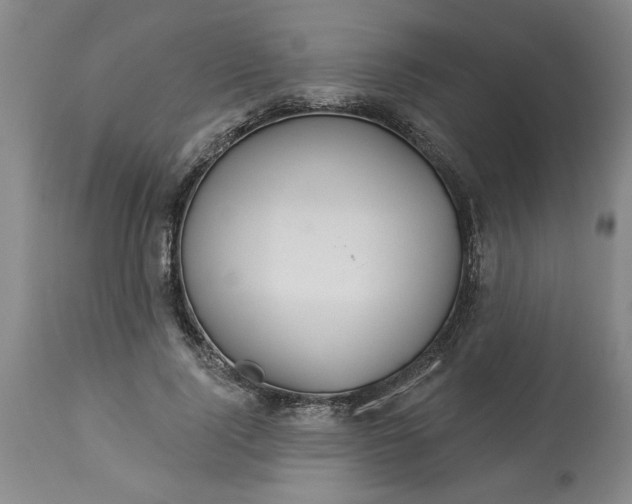 X0000113550740200910021530