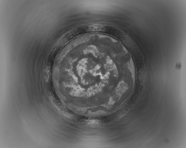 X0000113550741200910021530