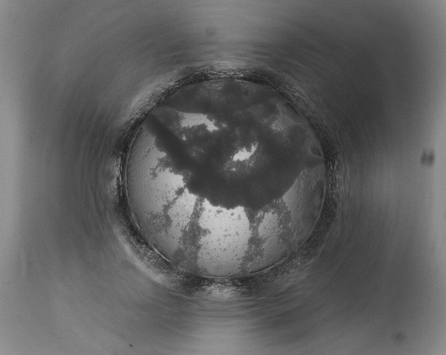 X0000113550742200910021530