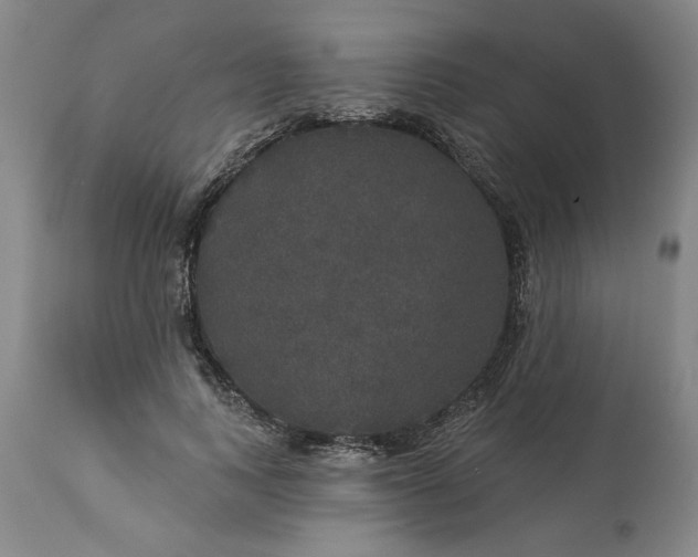 X0000113550743200910021530