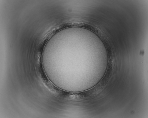 X0000113550744200910021530