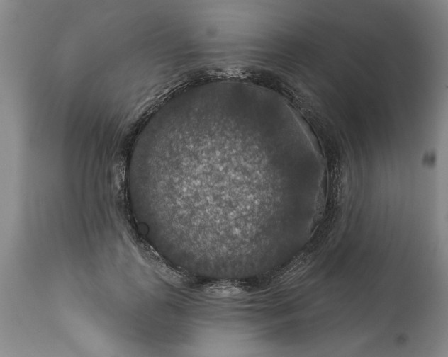 X0000113550747200910021530