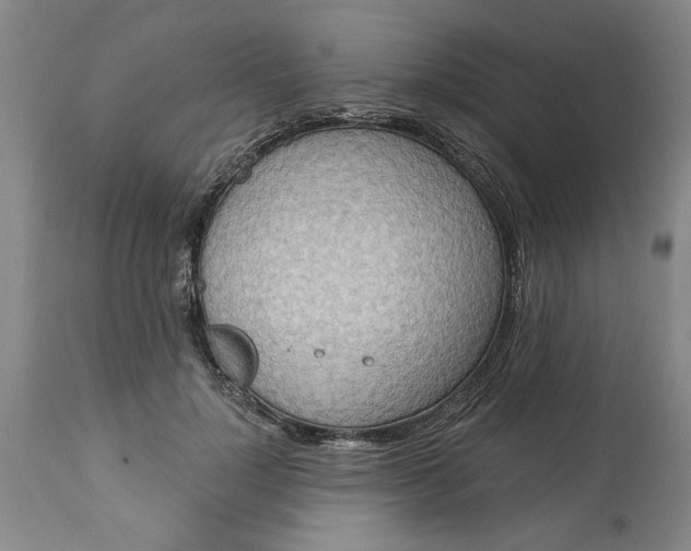 X0000113550748200910021530