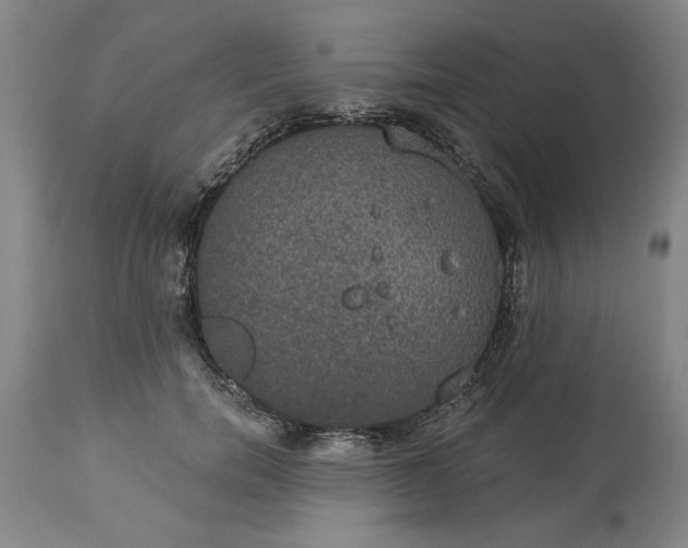 X0000113550750200910021530