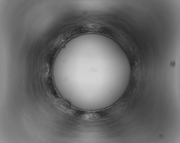 X0000113550752200910021530