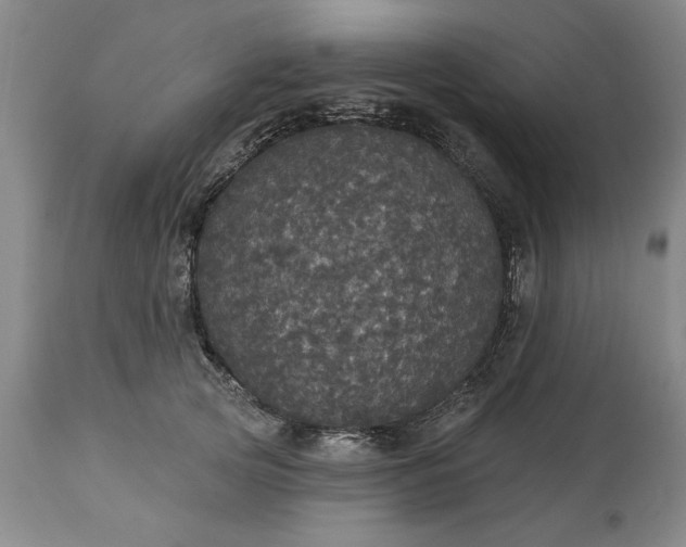 X0000113550753200910021530